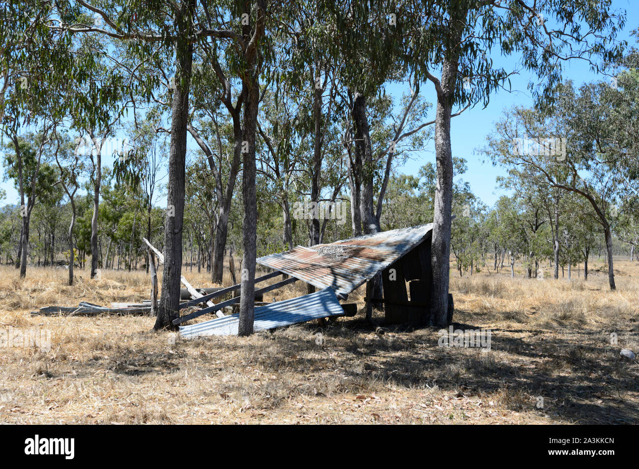 Old abandoned collapsed shed in bushland, Mareeba, Far North Queensland, FNQ, QLD, Australia Stock Photo