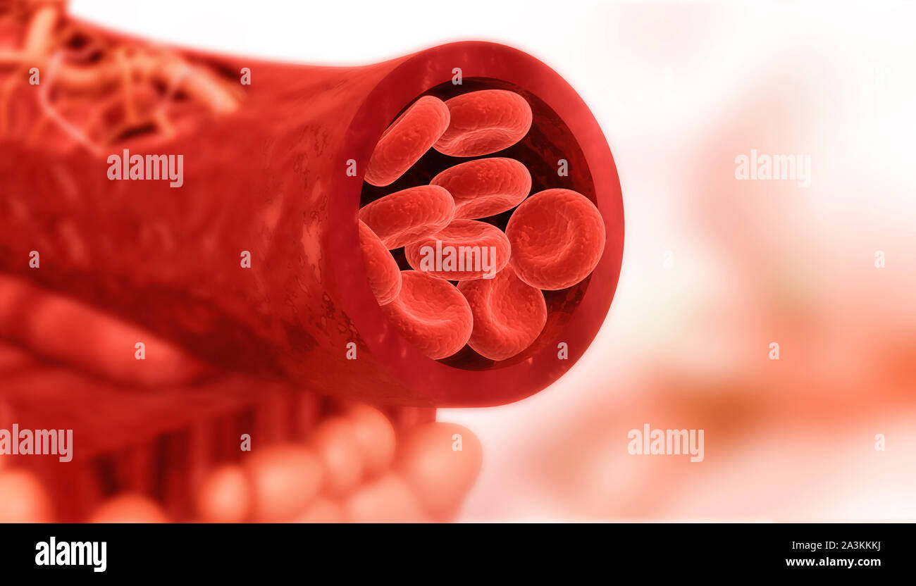 Blood cells in artery. 3d illustration Stock Photo - Alamy