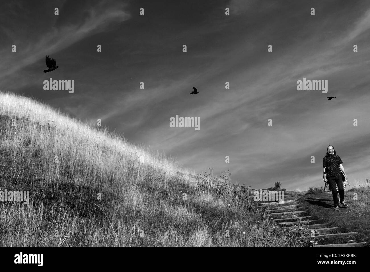 A man walking descending a hill by Glastonbury Tor. Stock Photo