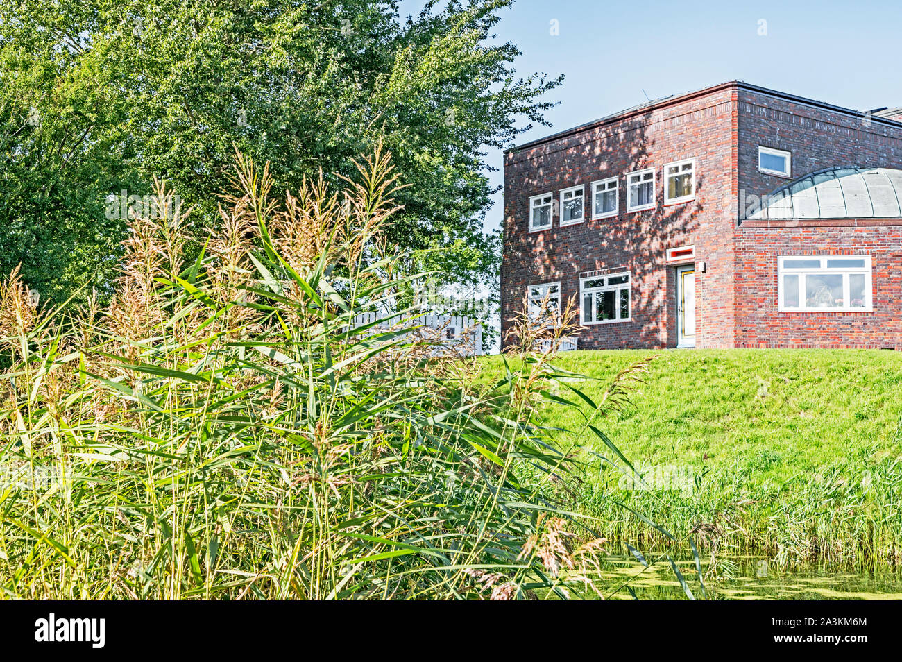 Seebull Stock Photos Seebull Stock Images Page 2 Alamy