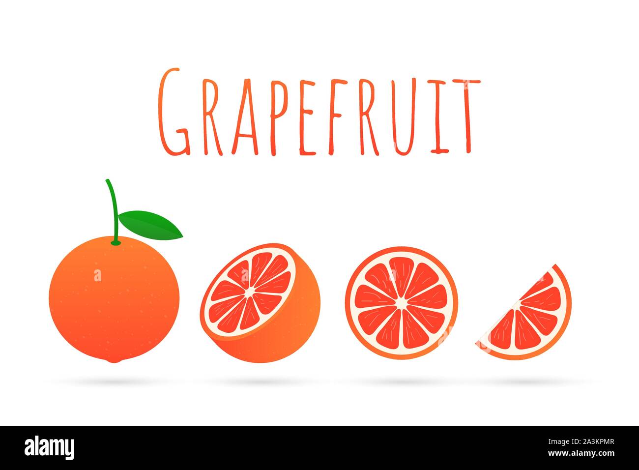 Grapefruit. A whole grapefruit and a cut. Vector stock illustration
