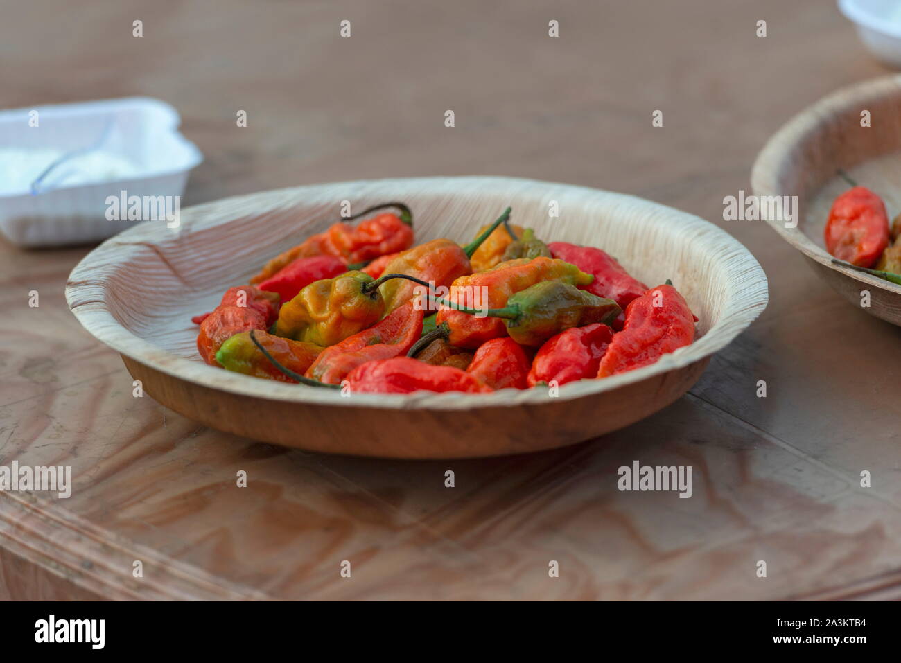 Naga Chilli, It is one of the hottest known chilli peppers. Satakha village, Nagaland, India Stock Photo