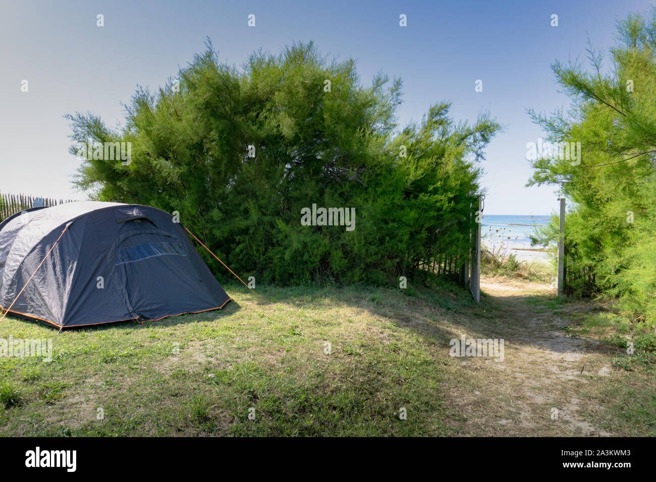 A campsite with a tent right next to a beach access leading through thick green bushes to an idyllic and picturesque beach and ocean Stock Photo