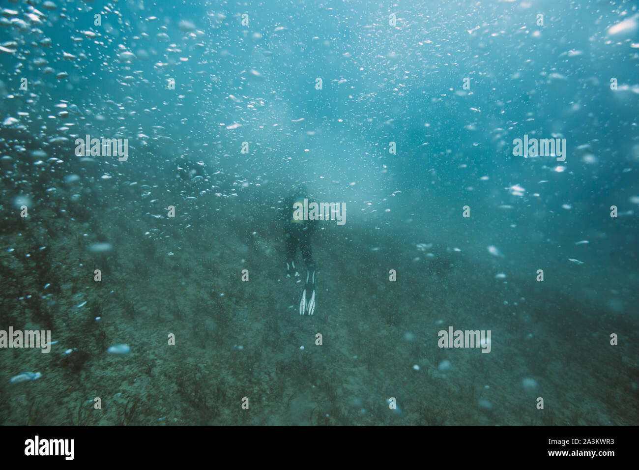 Underwater diving. Scuba diver underwater Stock Photo Alamy