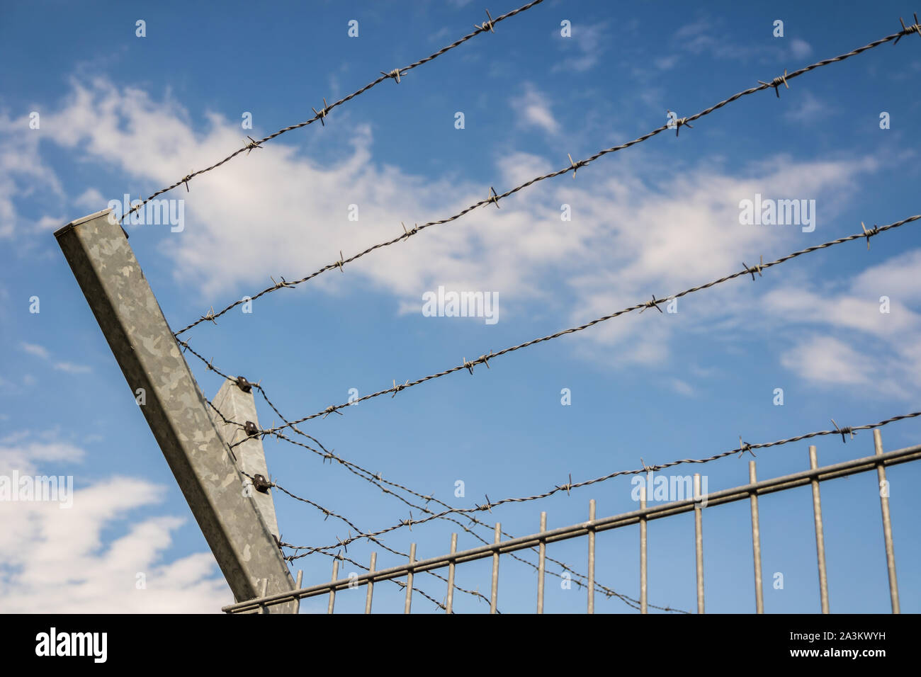 Border fence with barbed wire Stock Photo - Alamy