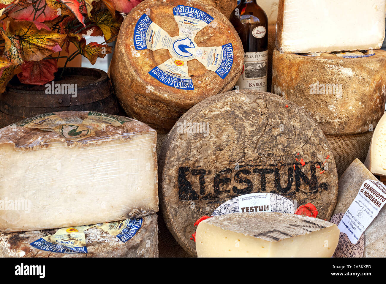 Different types of hard artisan cheese at the market in old town during famous annual White Truffle festival in Alba, Italy. Stock Photo