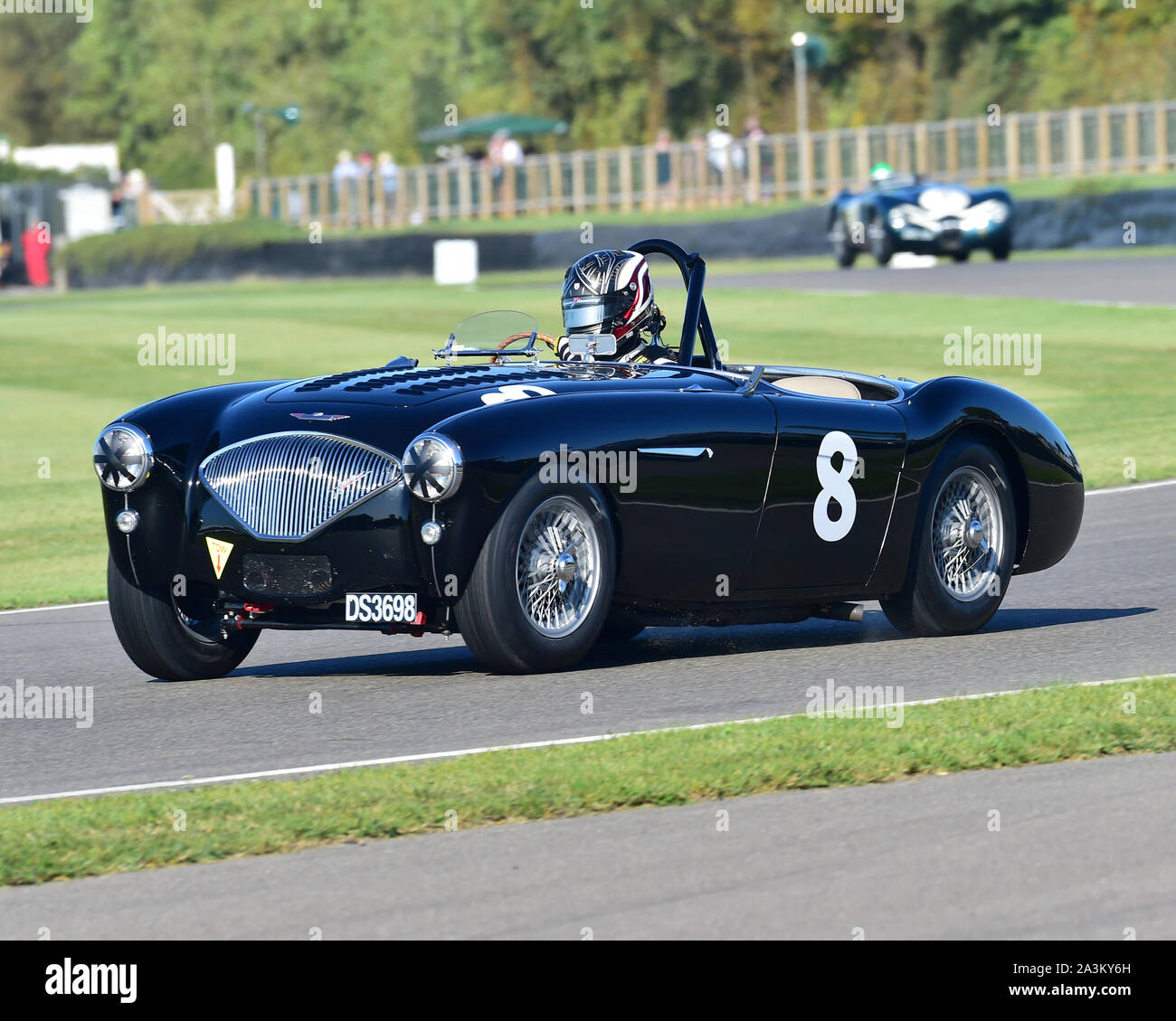 Michael Lyons, Austin Healey-Corvette BN1, Freddie March Memorial Trophy, sports cars, 1952 to 1955, Goodwood Revival 2019, September 2019, automobile Stock Photo