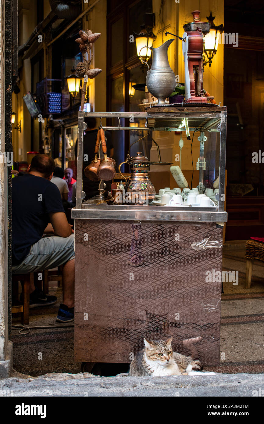 Istanbul: kiosk with samovar for the tea and a cat inside the Cicek Pasaji, the Flower Passage, a historic gallery on Istiklal Caddesi, famous avenue Stock Photo
