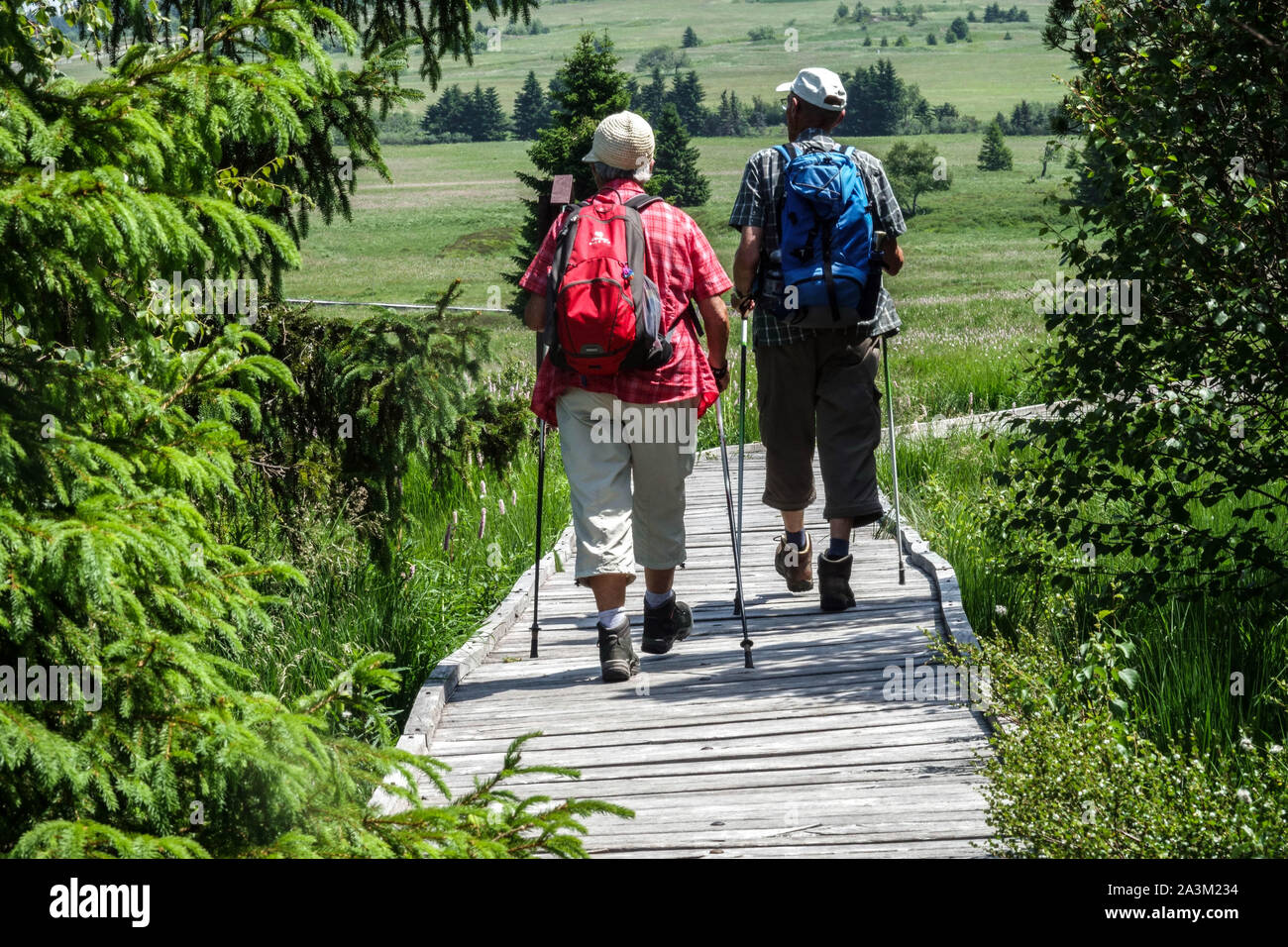 Seniors hiking, Nordic walking in Ore Mountains meadow path, Czech Republic hiking, healthy lifestyle European seniors Stock Photo