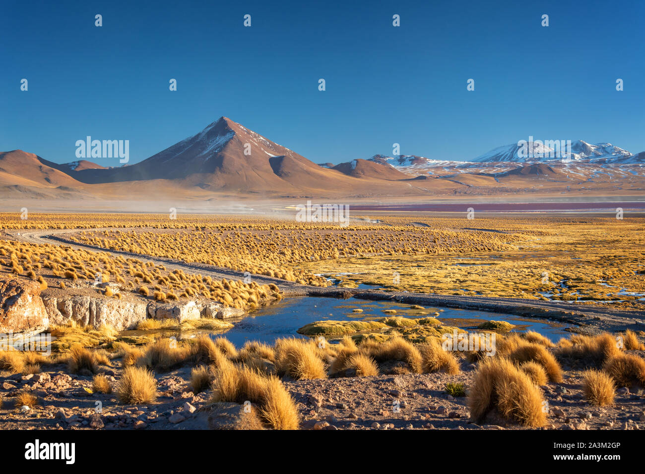 Landscape of the altiplano in Bolivia Stock Photo