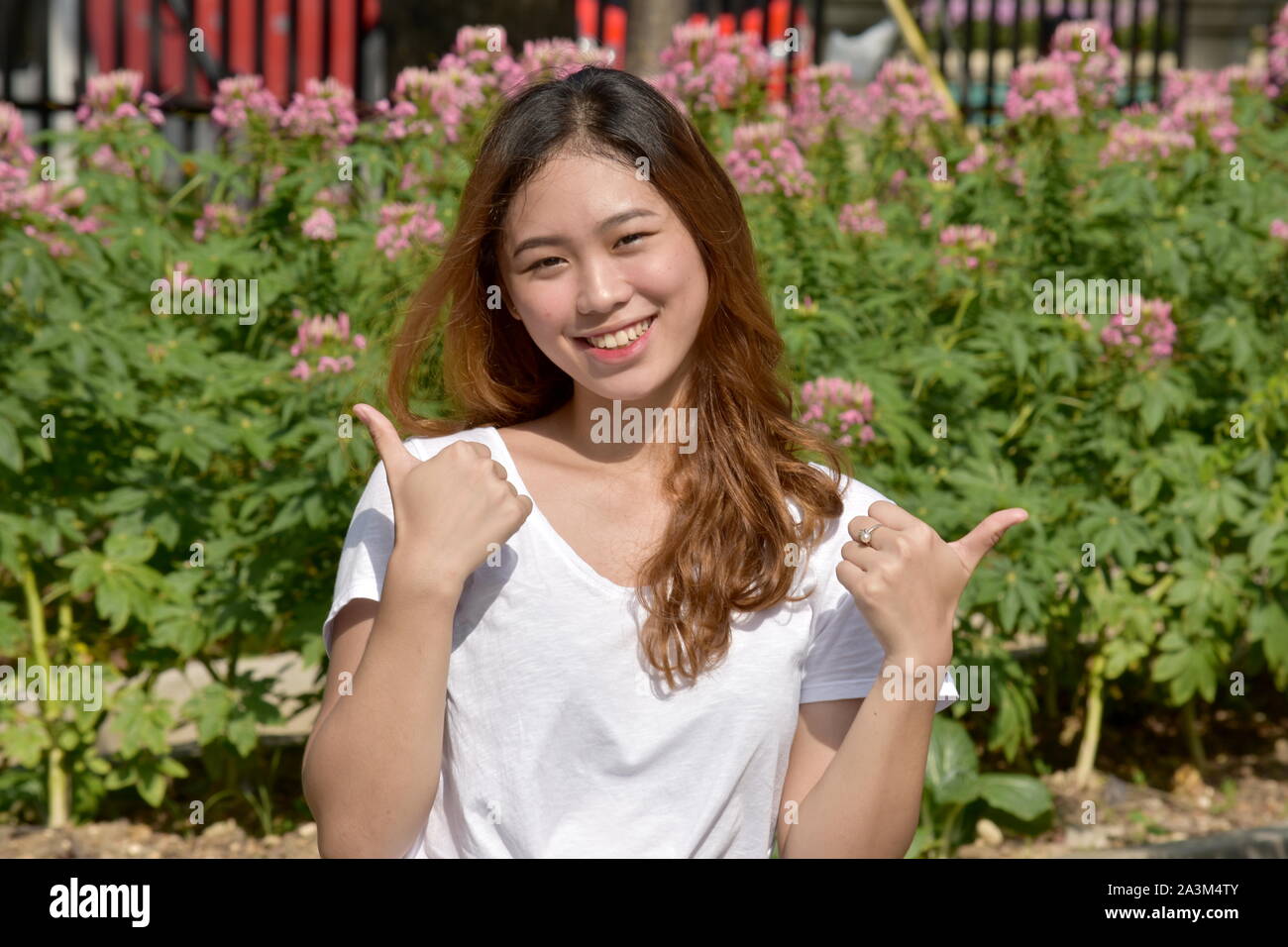 Pleased young female hi-res stock photography and images - Alamy
