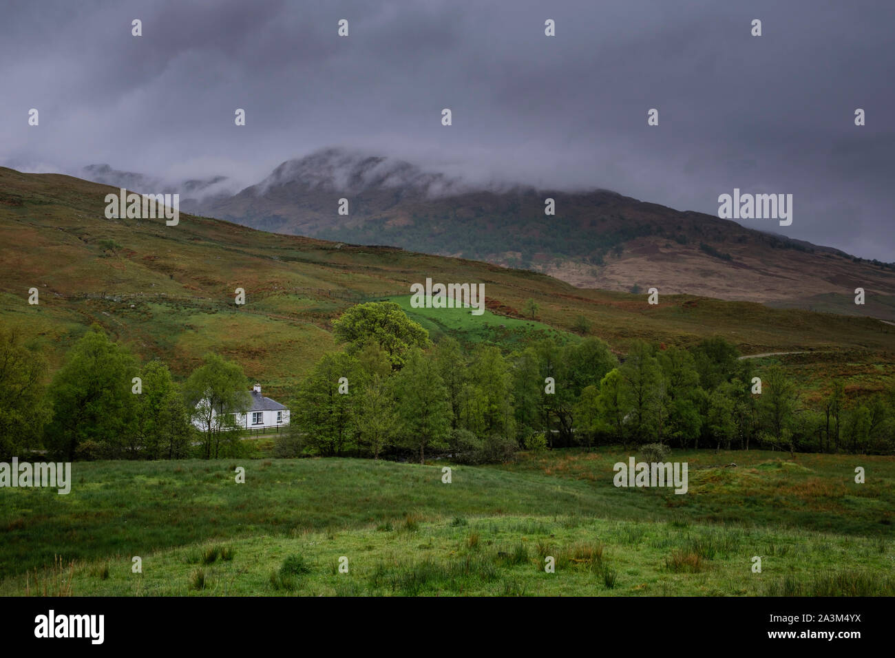 Cottage nestling in the hills nr Loch Lomond Dunbartonshire Argyll and Bute Scotland Stock Photo