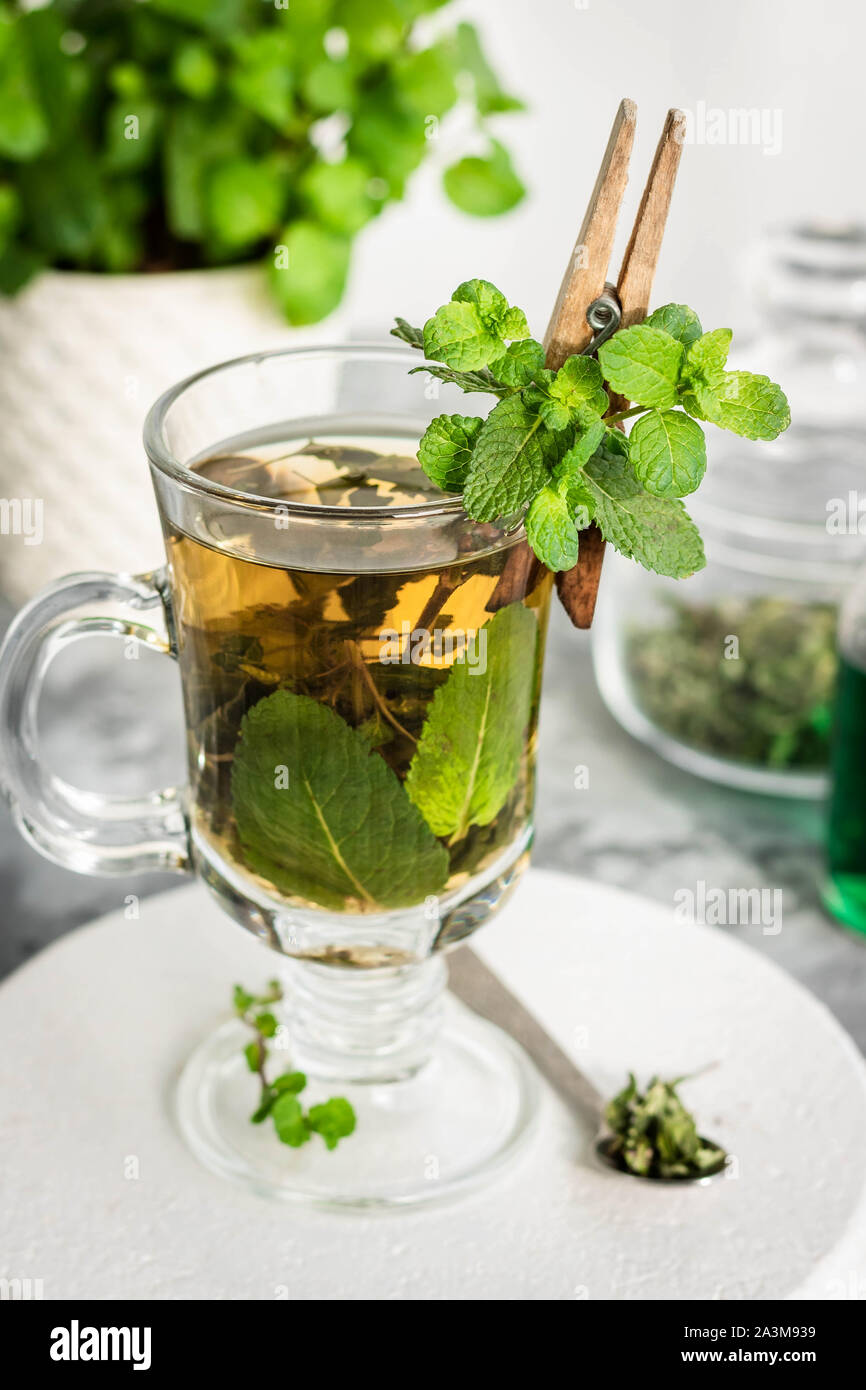 Soothing tea with fresh and fresh mint and mint syrup. A warm drink for the fall and winter seasons. The concept of caring for the emotional state. Stock Photo