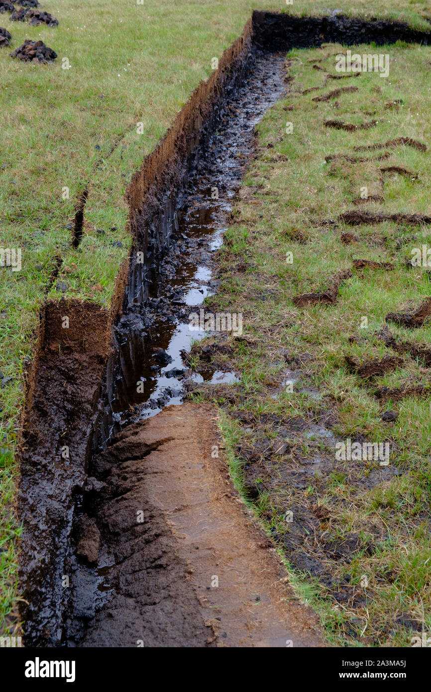 Freshly cut peat stacked to dry to be used a traditional fuel in Scotland Stock Photo