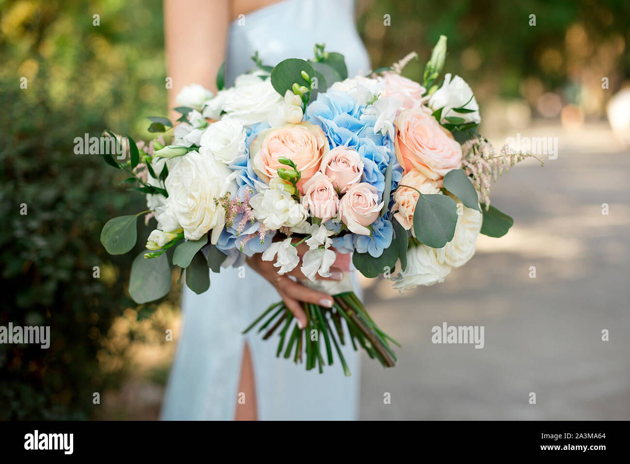 Girl holds in her hands a gorgeous bouquet of roses, hydrangeas, ozotamnus, hypericum, eucalyptus Stock Photo