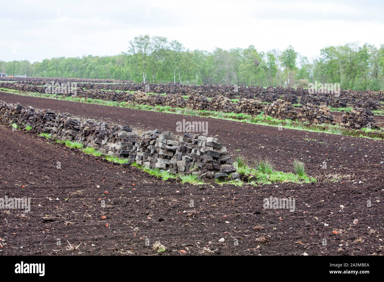 Peat extraction, Lower Saxony, northern Germany, Europe Stock Photo