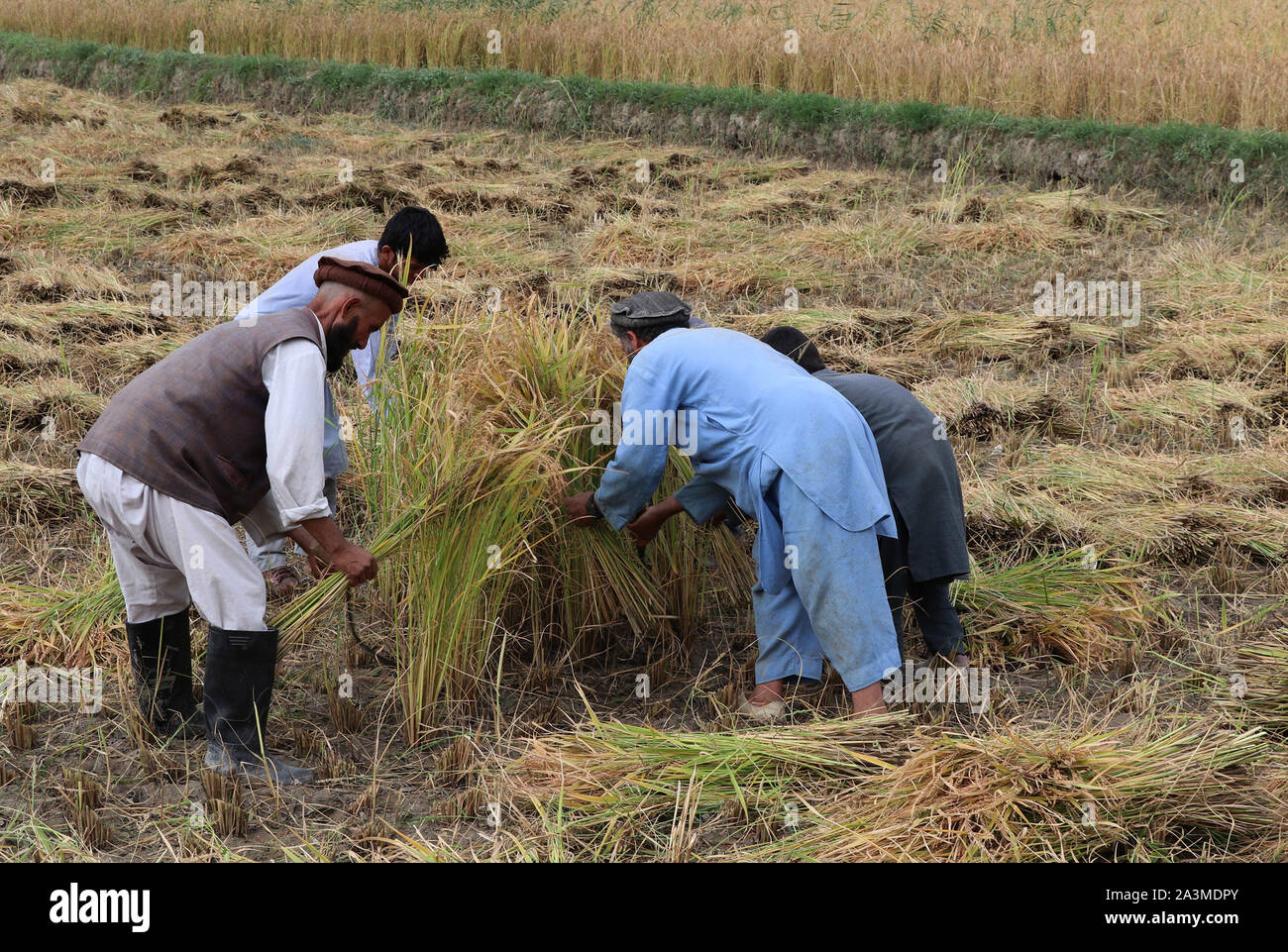 Pul e khumri hi-res stock photography and images - Alamy
