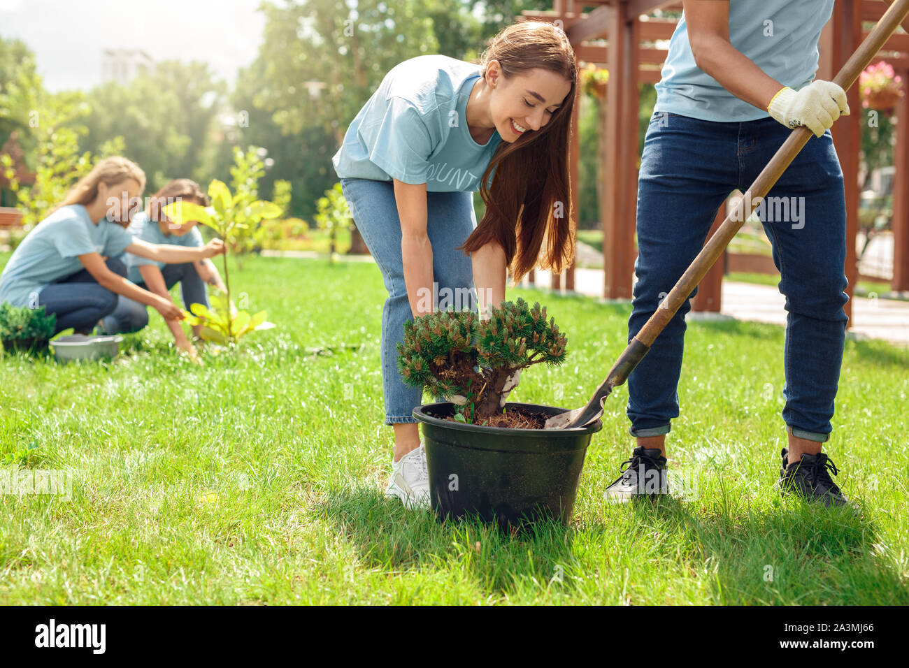 Diverse young group volunteer plant hires stock photography and images