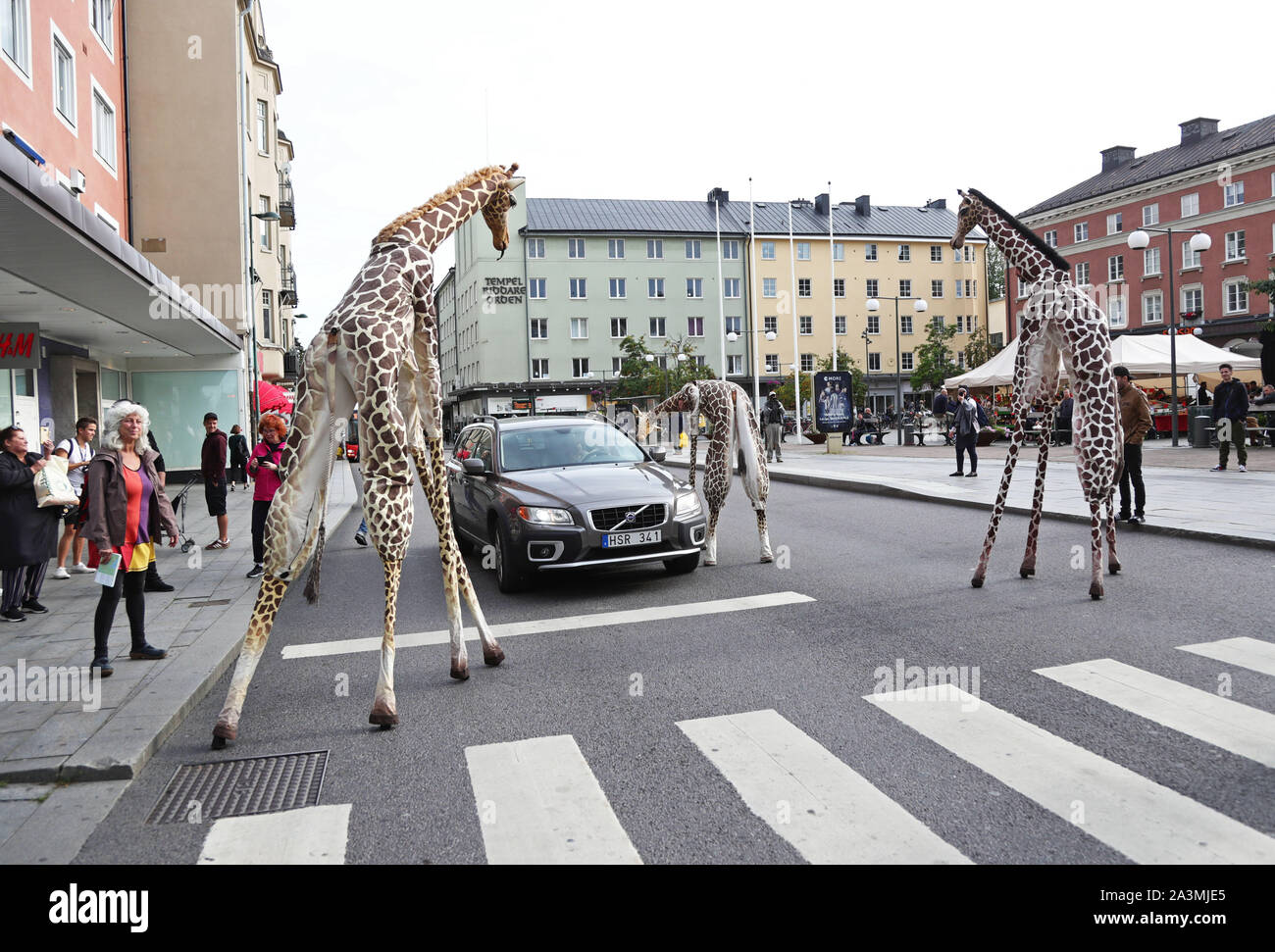 LINKÖPING 20190815Xirriquiteula Teatre, Girafes, under nycirkusfestivalen 'I DARE YOU – Linköping Contemporary Circus Festival' på torsdagen/ Xirriquiteula Teatre, Girafes, during 'I DARE YOU - Linköping Contemporary Circus Festival' on Thursday. Foto Jeppe Gustafsson Stock Photo