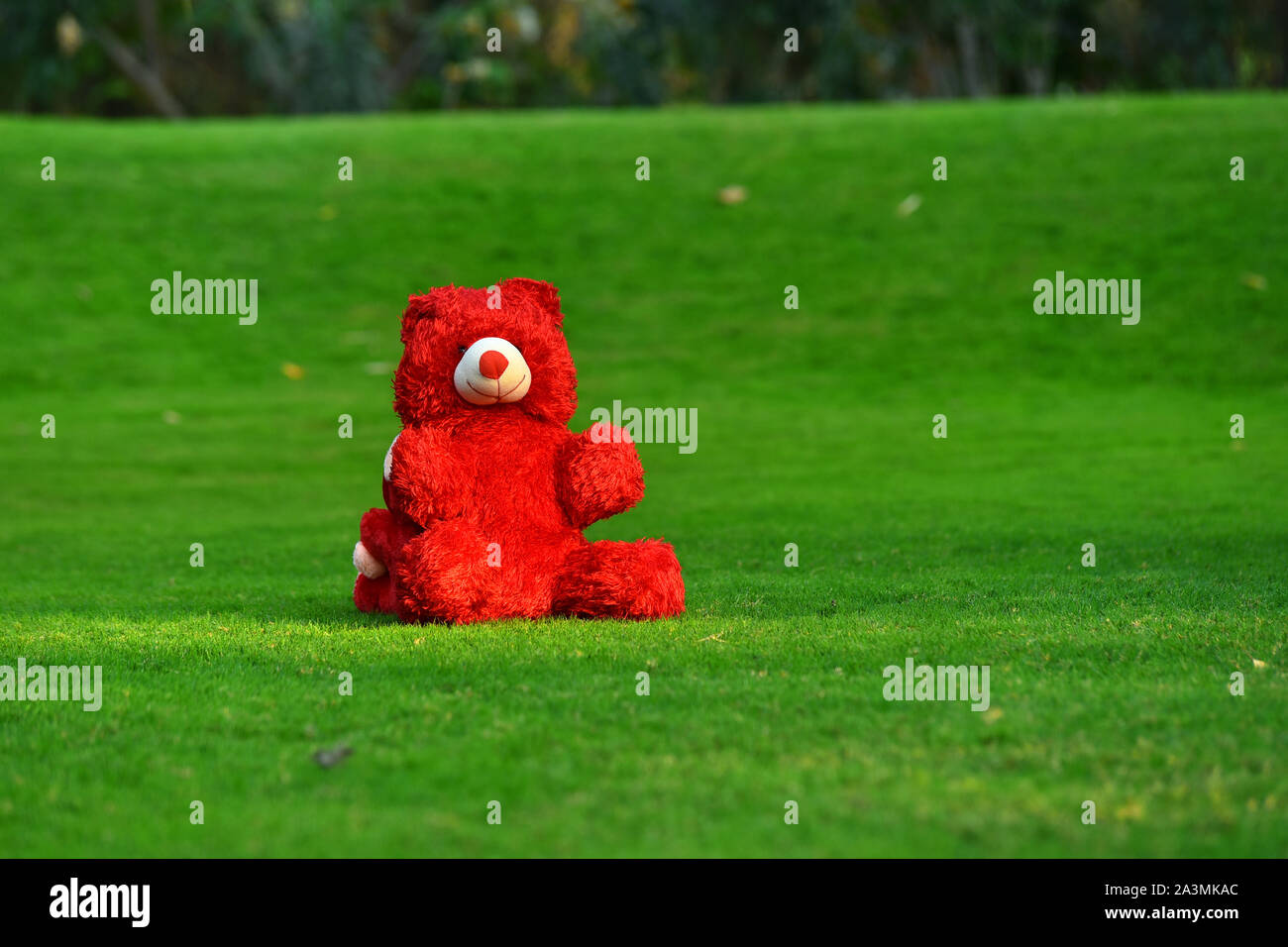 Red teddy bear sitting on grass Stock Photo - Alamy