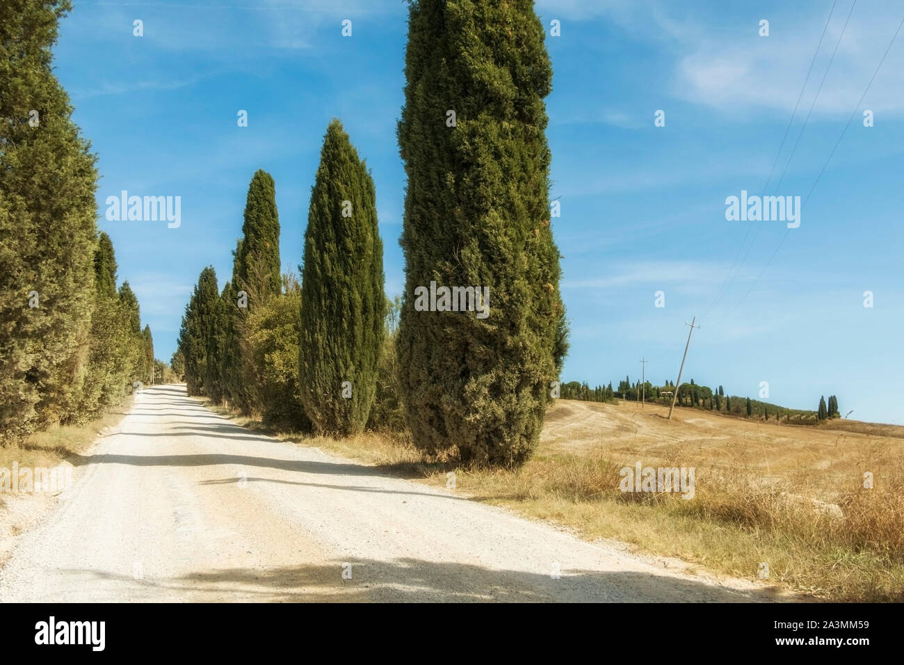 Typical landscapes for Siena Province in Tuscany, Italy. Cypress hills, plowed fields, roads and houses. Begining of autumn season. Stock Photo