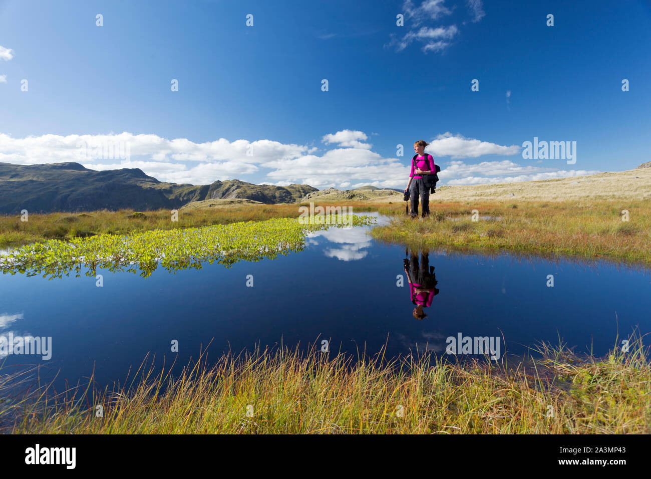Hiking woman at a small Tarn near High Raise in the Lake District. Stock Photo