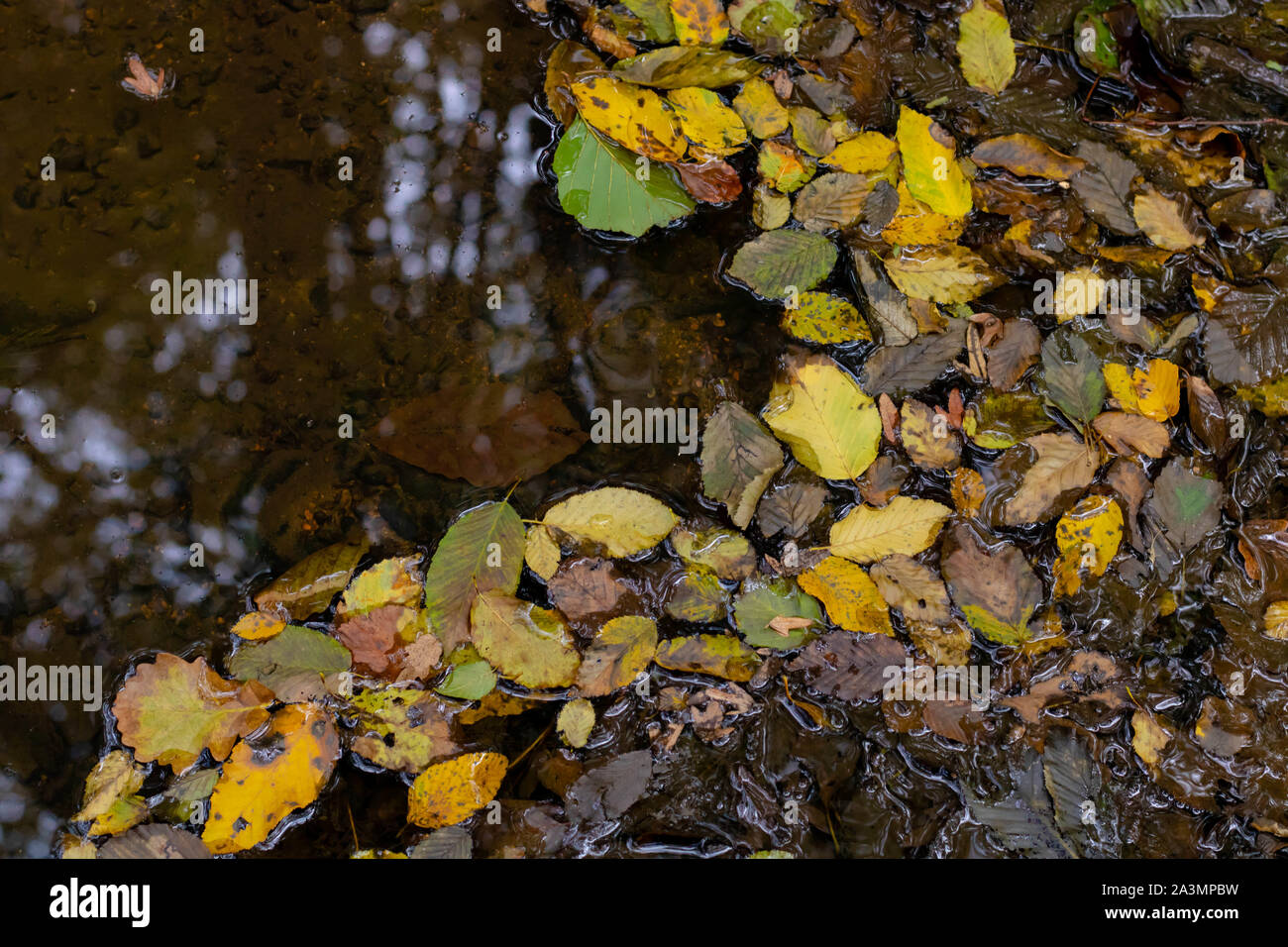 Beautiful waterfall lake fallen hi-res stock photography and images - Alamy