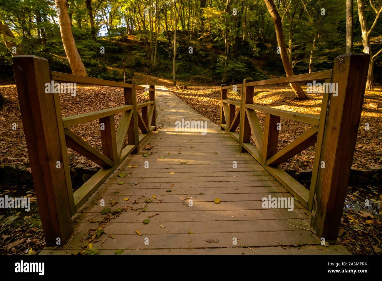 Wooden bridge in the forest at autumn Stock Photo - Alamy