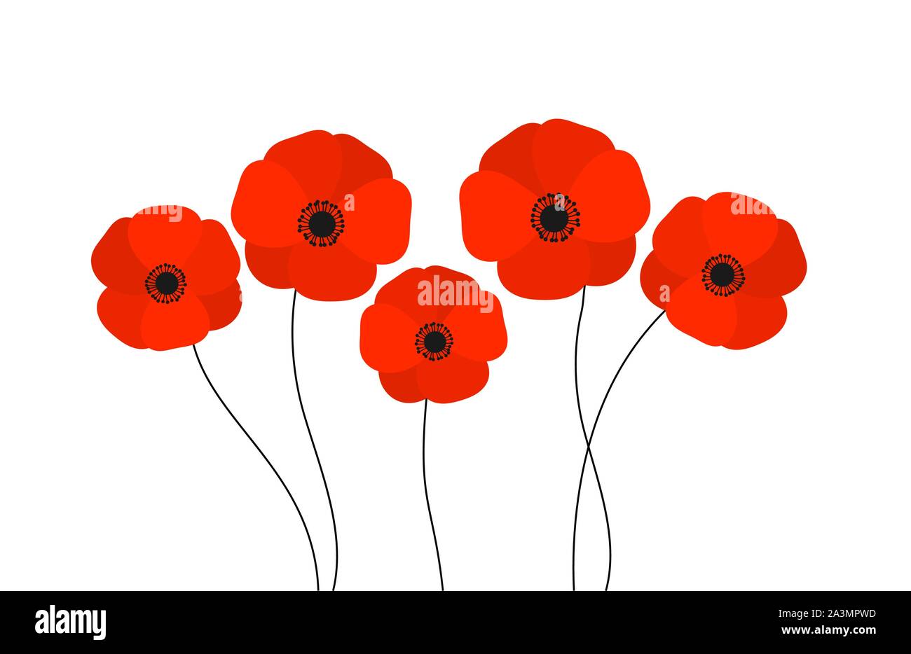 Red poppies flowers isolated on white background. Vector illustration ...