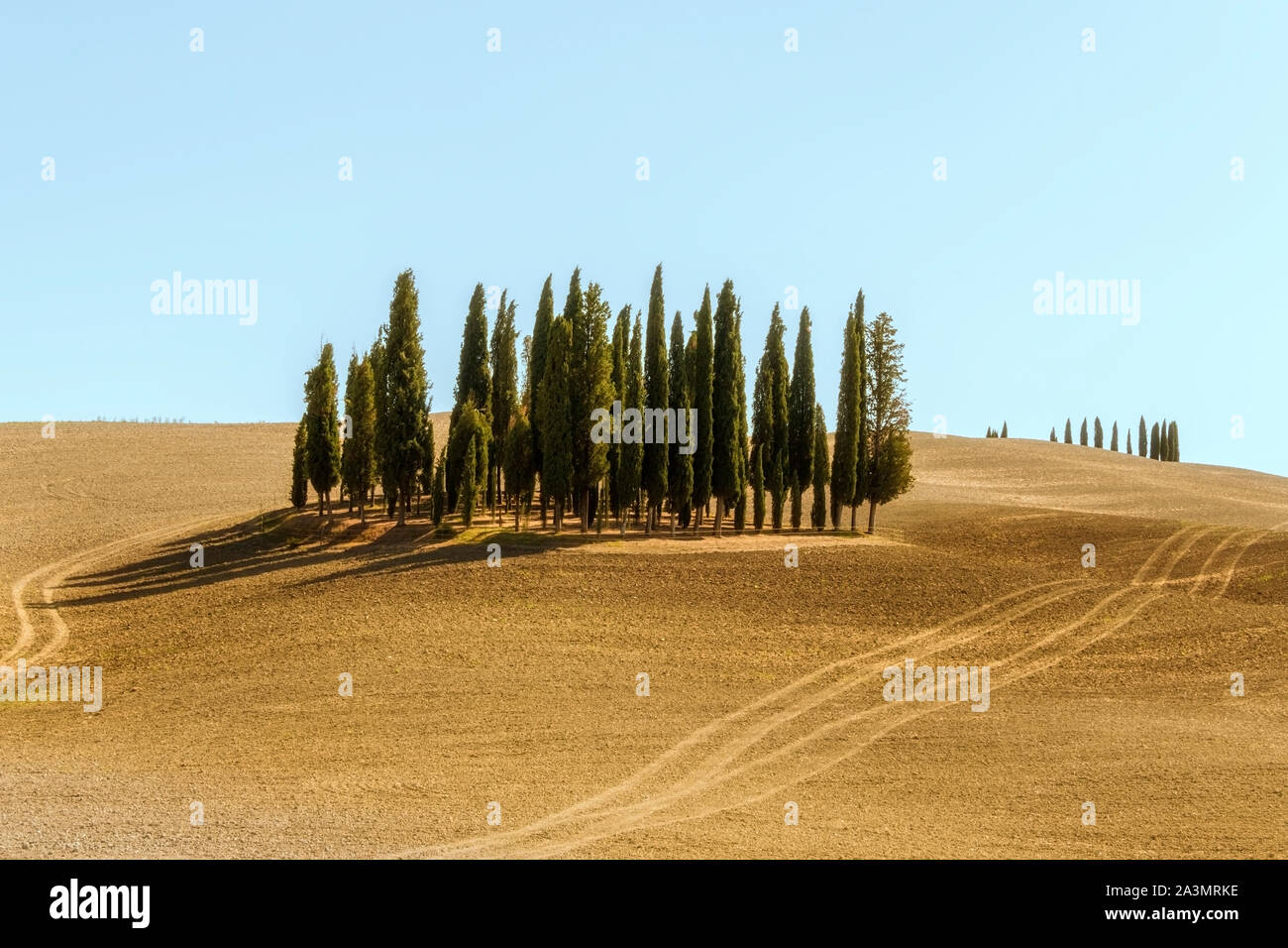 Typical landscapes for Siena Province in Tuscany, Italy. Cypress hills, plowed fields, roads and houses. Begining of autumn season. Stock Photo