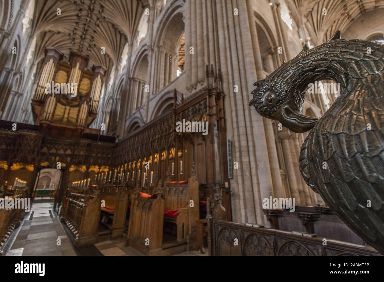 Norwich cathedral christmas hires stock photography and images Alamy