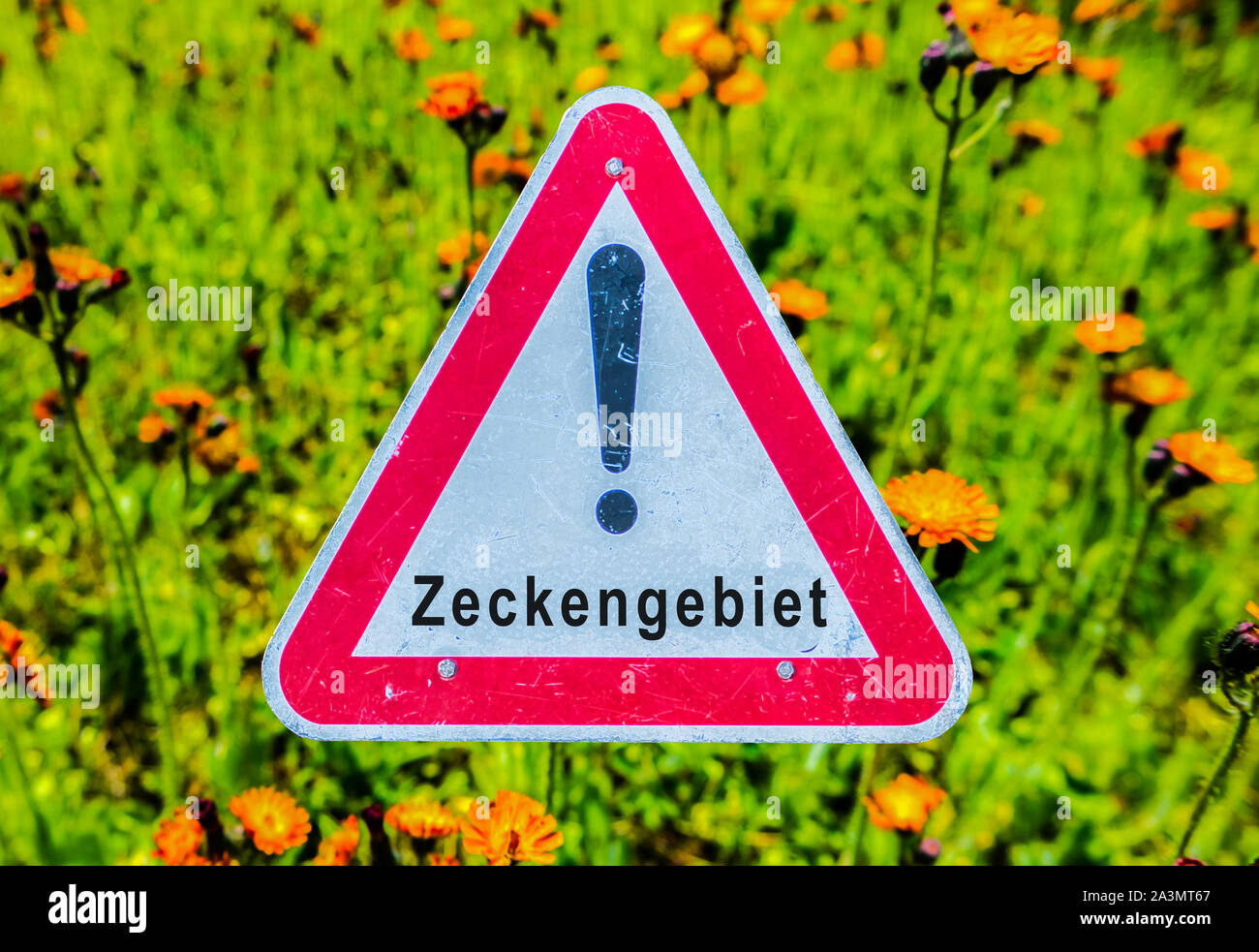 Warning sign German 'Zeckengebiet' Stock Photo