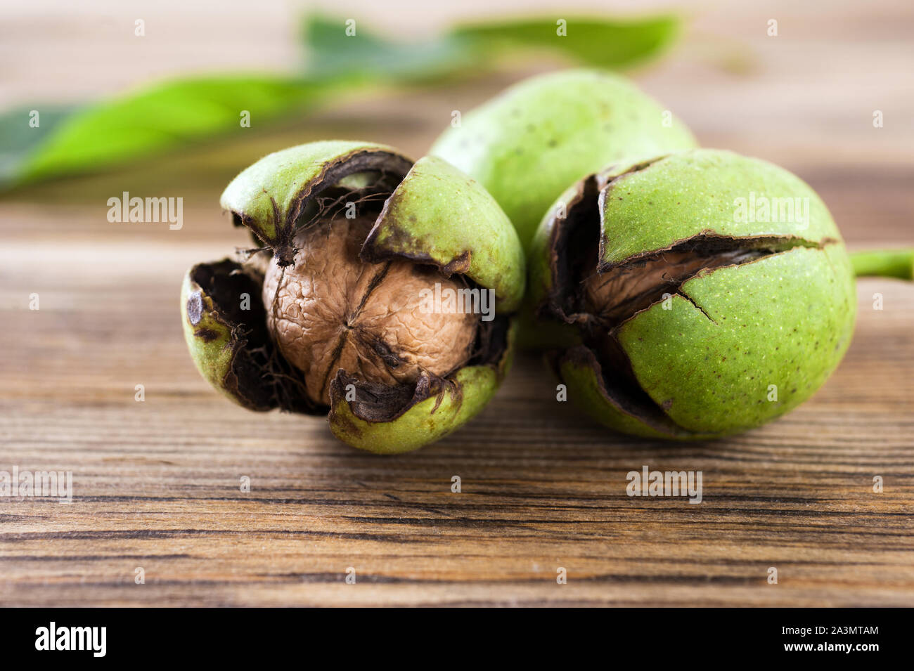 Three ripe raw walnuts with green shell on the wooden table Autumn nuts..Selective focus.Horizontal orientation. Stock Photo
