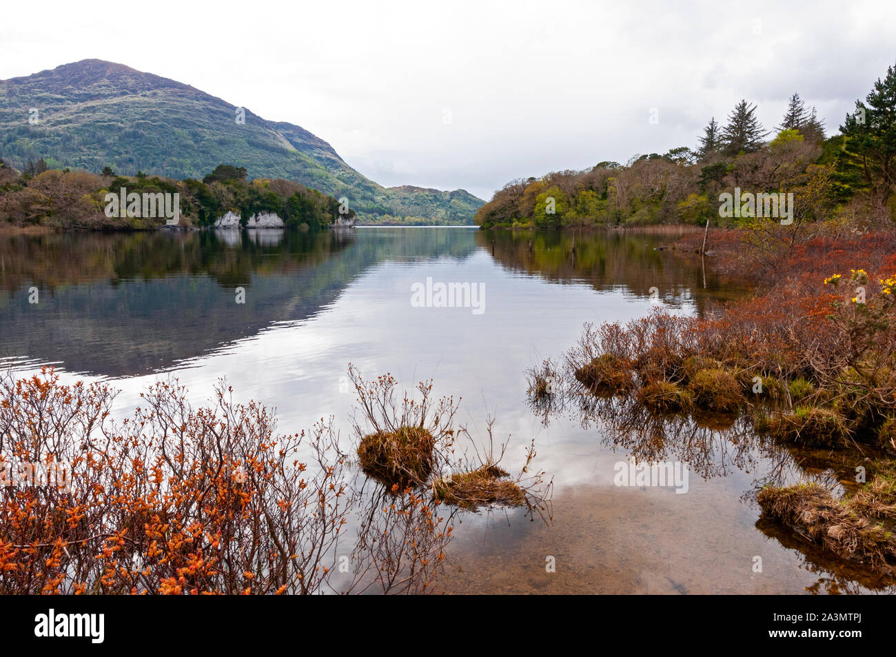 Killarney Lake, Killarney National Park, County Kerry, Ireland Stock ...