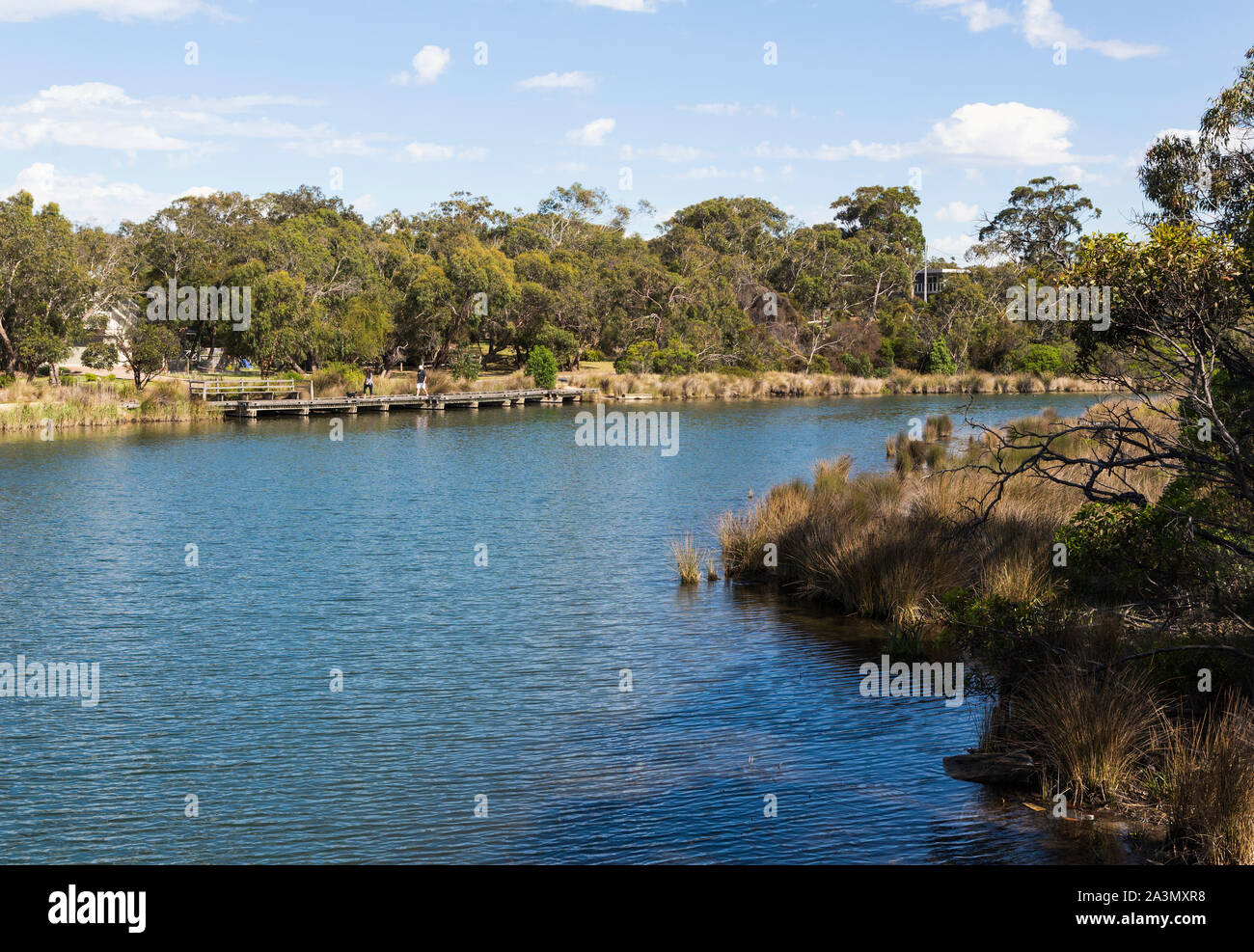 Anglesea River, Anglesea, Great Ocean Road, Victoria, Australia Stock