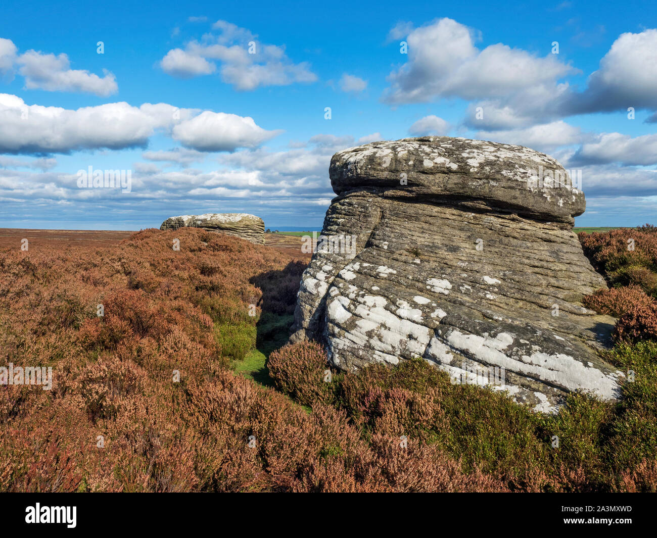 Gritstone rocks on Pateley Moor near Pateley Bridge in Nidderdale North Yorkshire England Stock Photo