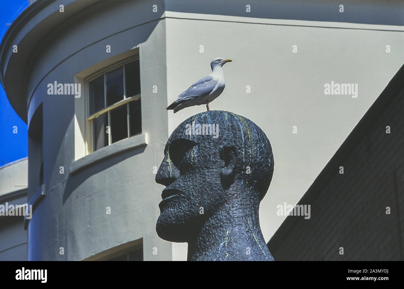A seagull sits upon Dame Elisabeth Frink's head Sculpture titled  Desert Quartet. Worthing. West Sussex,  England, UK Stock Photo
