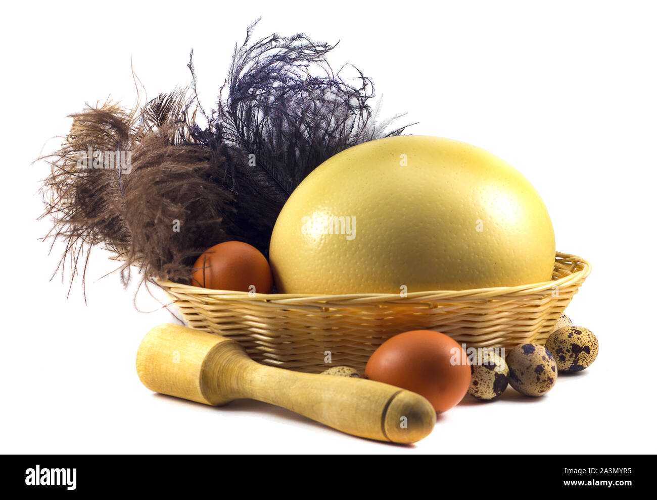 Large Ostrich eggs in a basket isolated Stock Photo Alamy