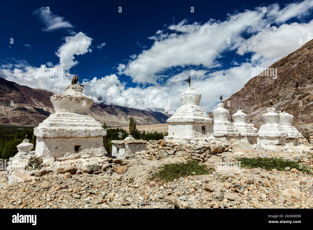 Whitewashed chortens Tibetan Buddhist stupas . Nubra valley, Ladakh, India Stock Photo