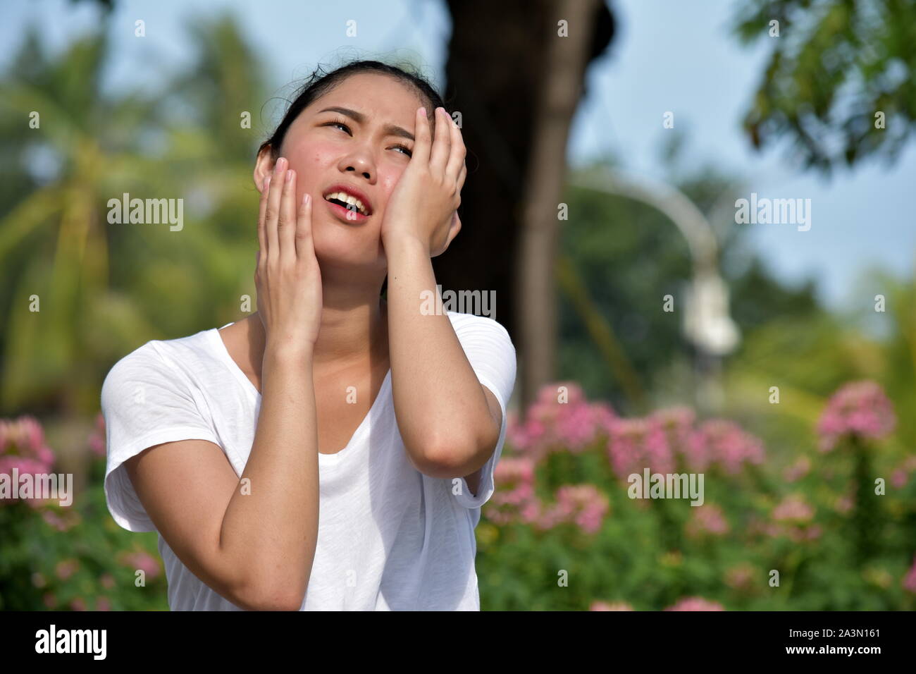 Stressful Youthful Asian Female Stock Photo