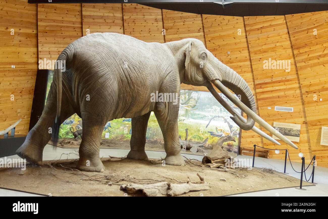 Pliocene Park in Dorkovo, Pazardzhik District, Bulgaria - October 5, 2019. A mammoth scale model of real mammoth. Remains of the animal have been foun Stock Photo