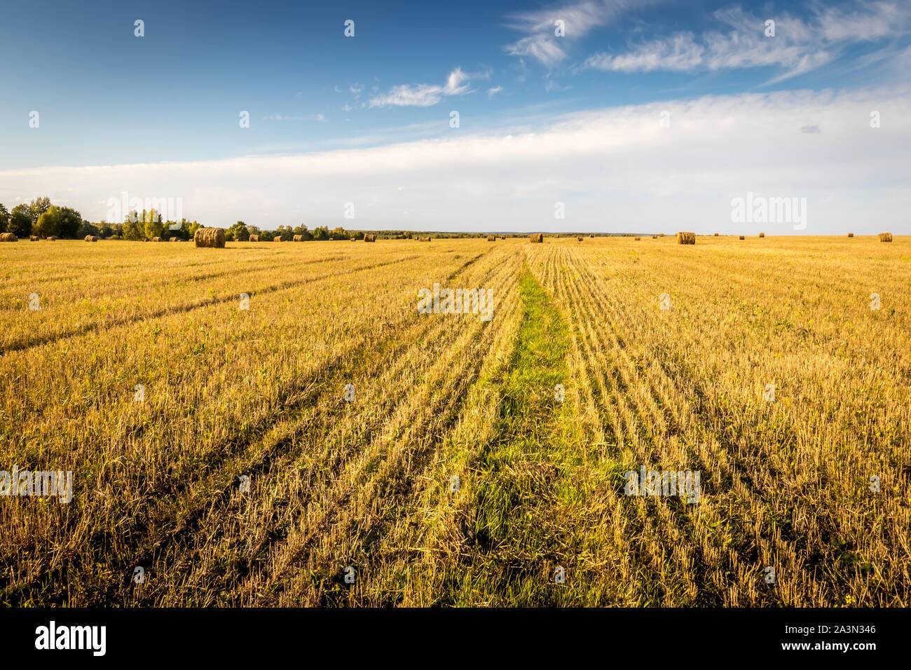 Scene with haystacks on the field in autumn sunny day. Rural landscape ...
