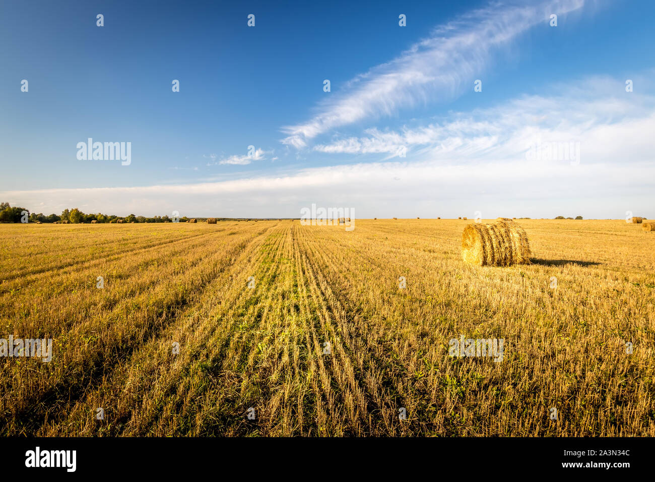 Haystacks on the field in autumn sunny daywith cloudy sky background ...