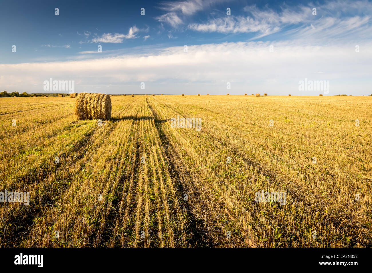 Scene with haystacks on the field in autumn sunny day. Rural landscape ...