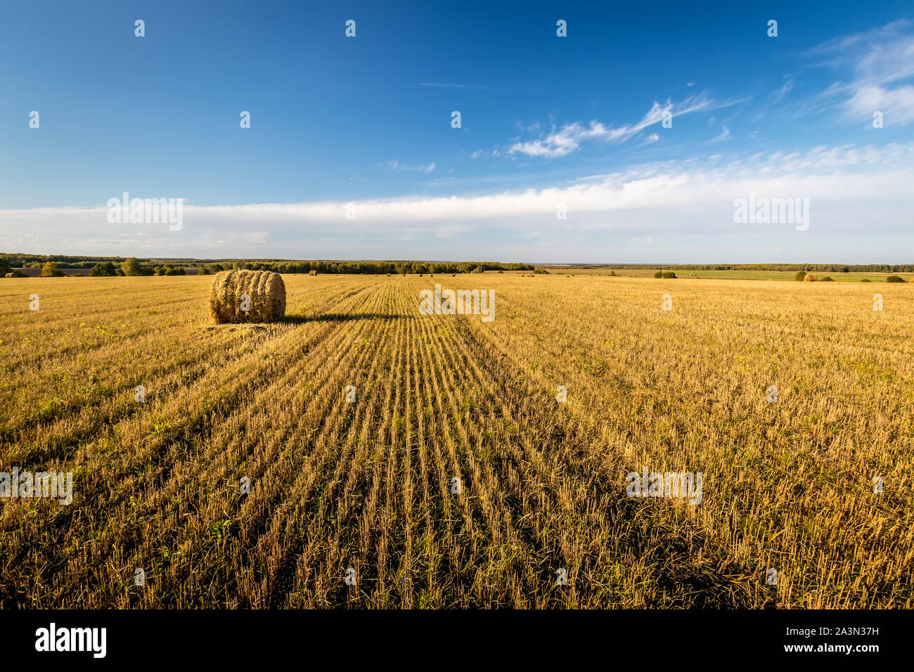 Scene with haystacks on the field in autumn sunny day. Rural landscape ...