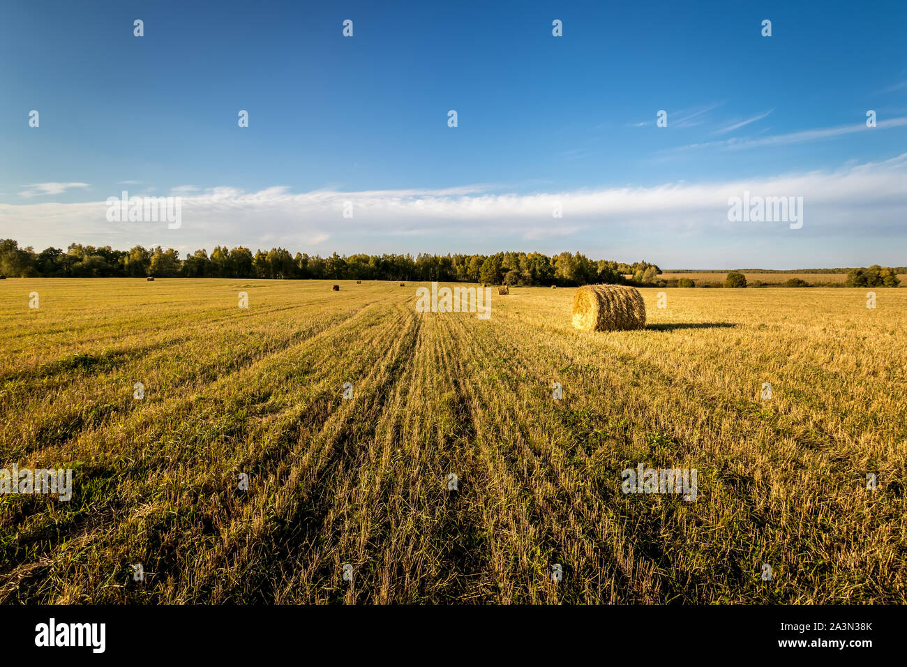 Scene with haystacks on the field in autumn sunny day. Rural landscape ...