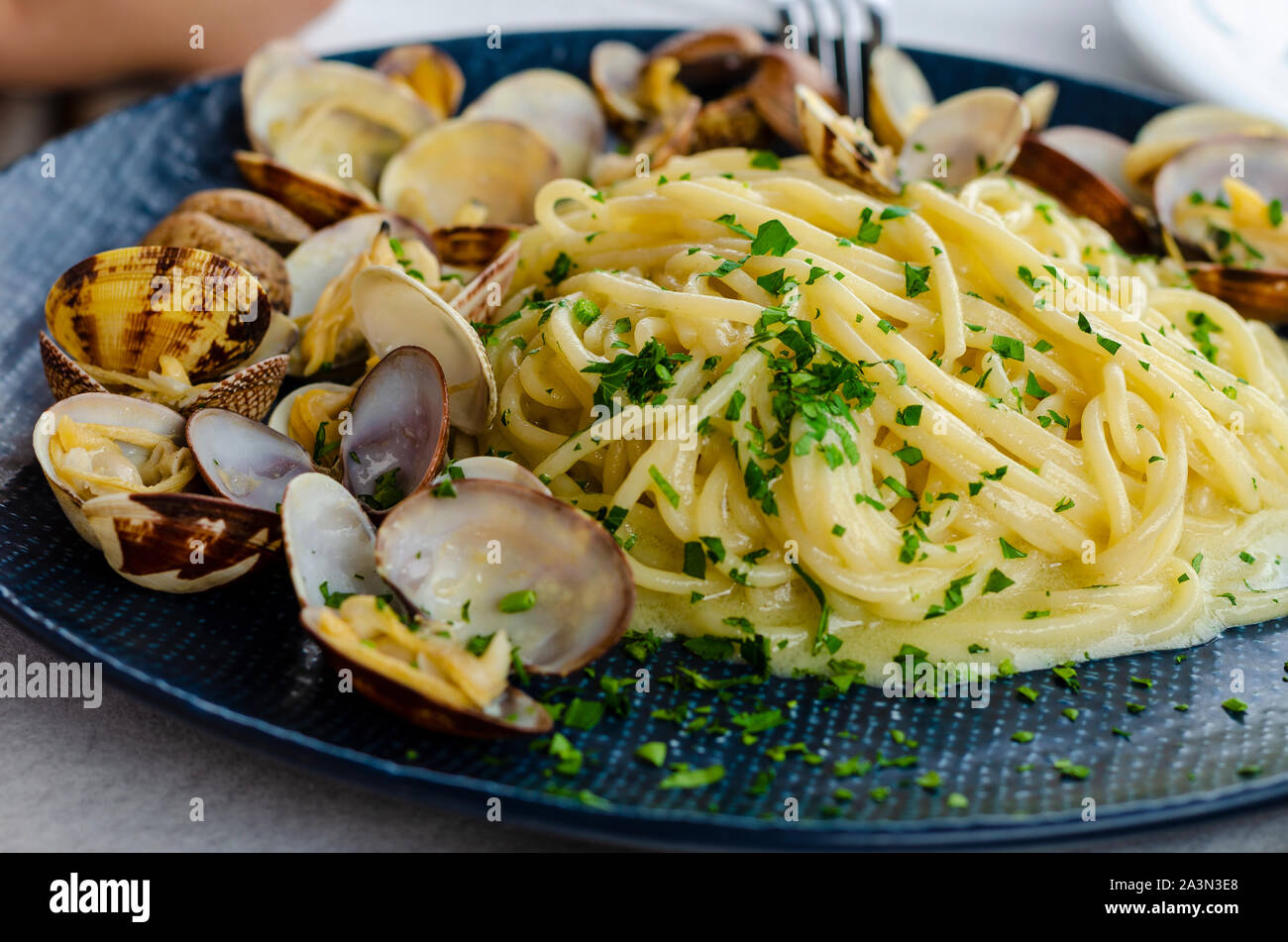 A plate of Pasta with clams and sauce. Traditional italian food