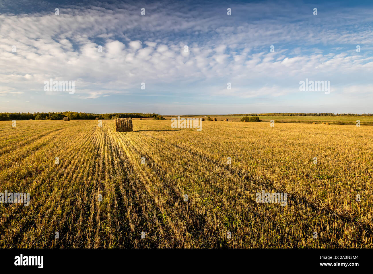 Scene with haystacks on the field in autumn sunny day. Rural landscape ...