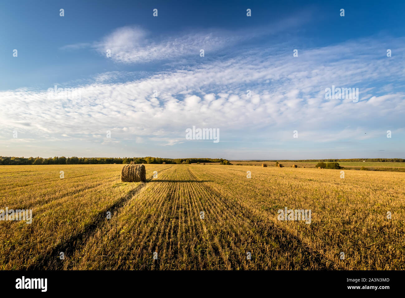 Haystacks on the field in autumn sunny day. Rural landscape with cloudy ...
