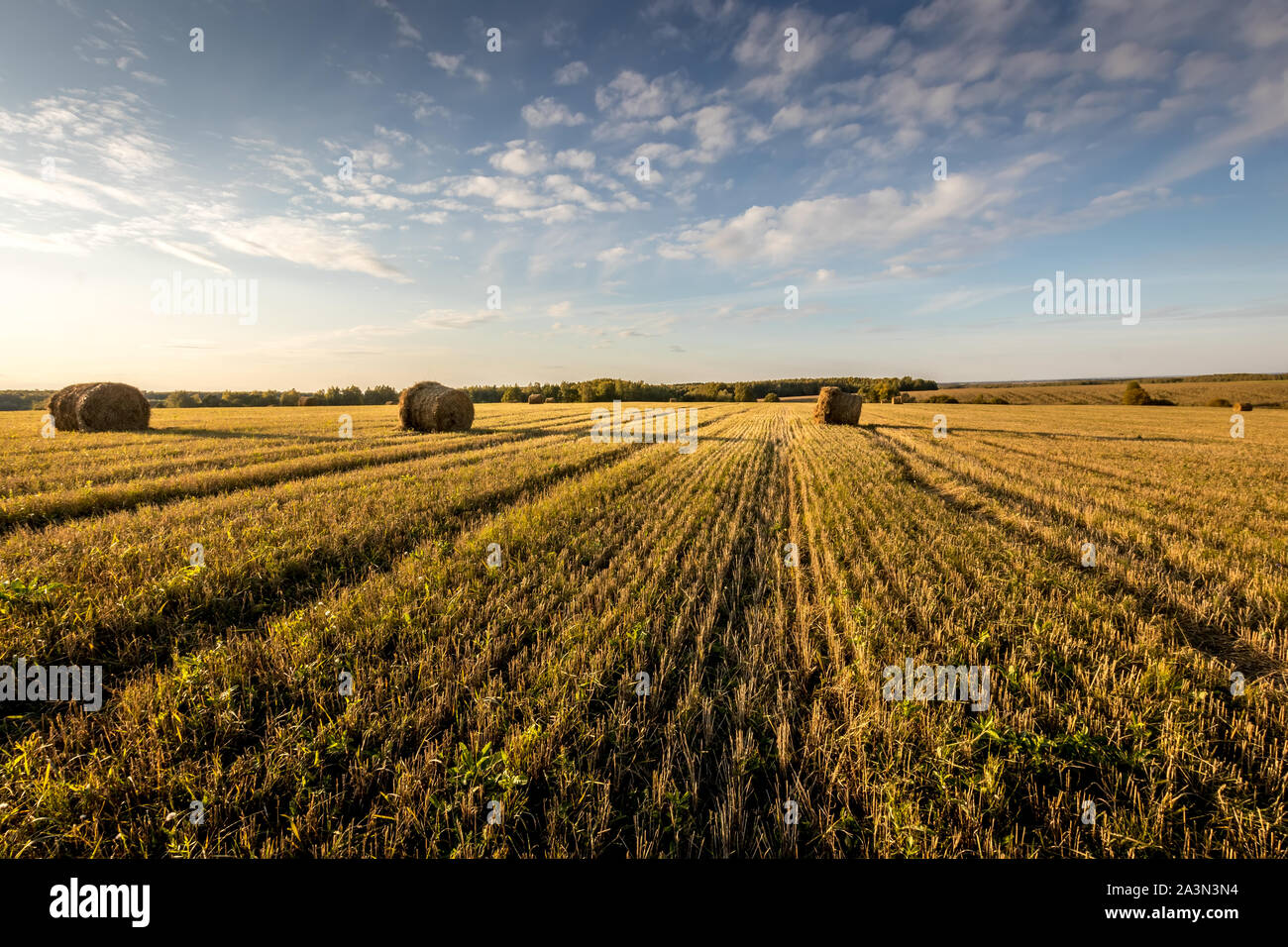 Haystacks on the field in autumn sunny daywith cloudy sky background ...